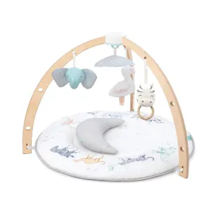 Aden   Anais - Play & Discover Activity Gym