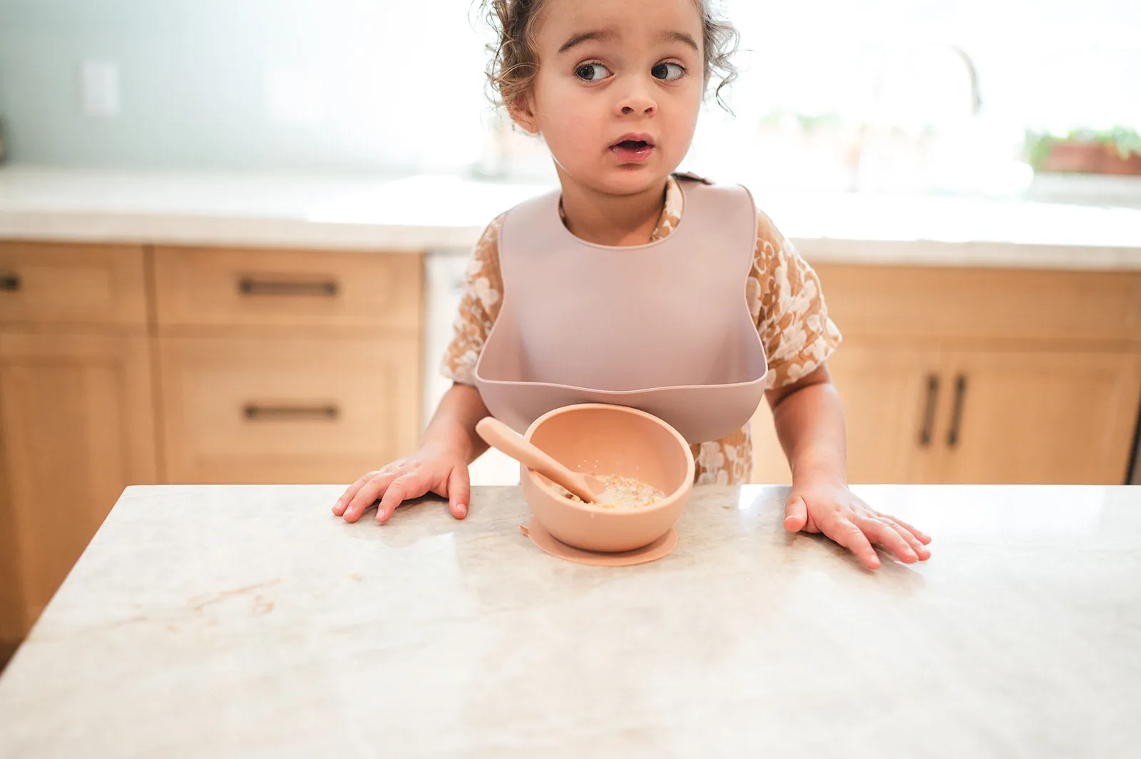 Babeehive Goods Dusty Rose Silicone Baby Bib